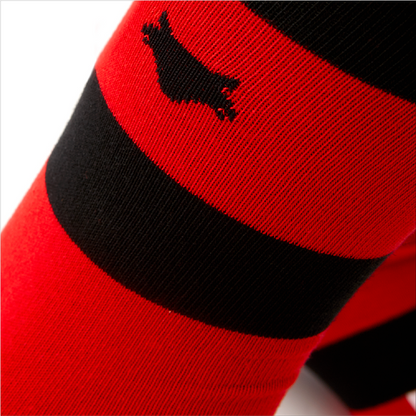 CHAUSSETTES JUNIOR RAYEES